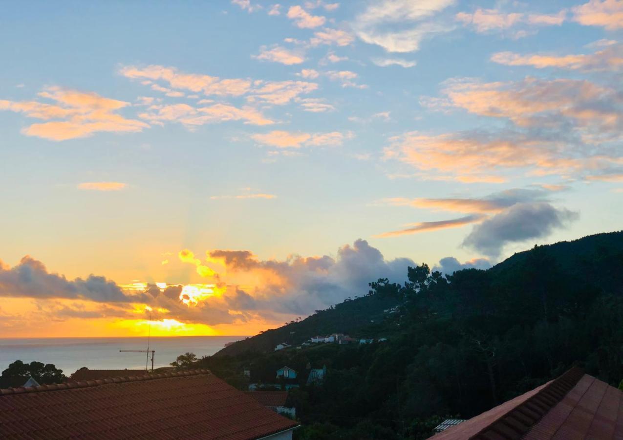 Quinta Pereirinha Farmstay, Mount Pico, Azores - Private 3 Bedrooms, Ocean Views, Hiking Trails São Roque do Pico Exterior foto
