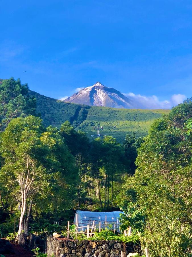 Quinta Pereirinha Farmstay, Mount Pico, Azores - Private 3 Bedrooms, Ocean Views, Hiking Trails São Roque do Pico Exterior foto